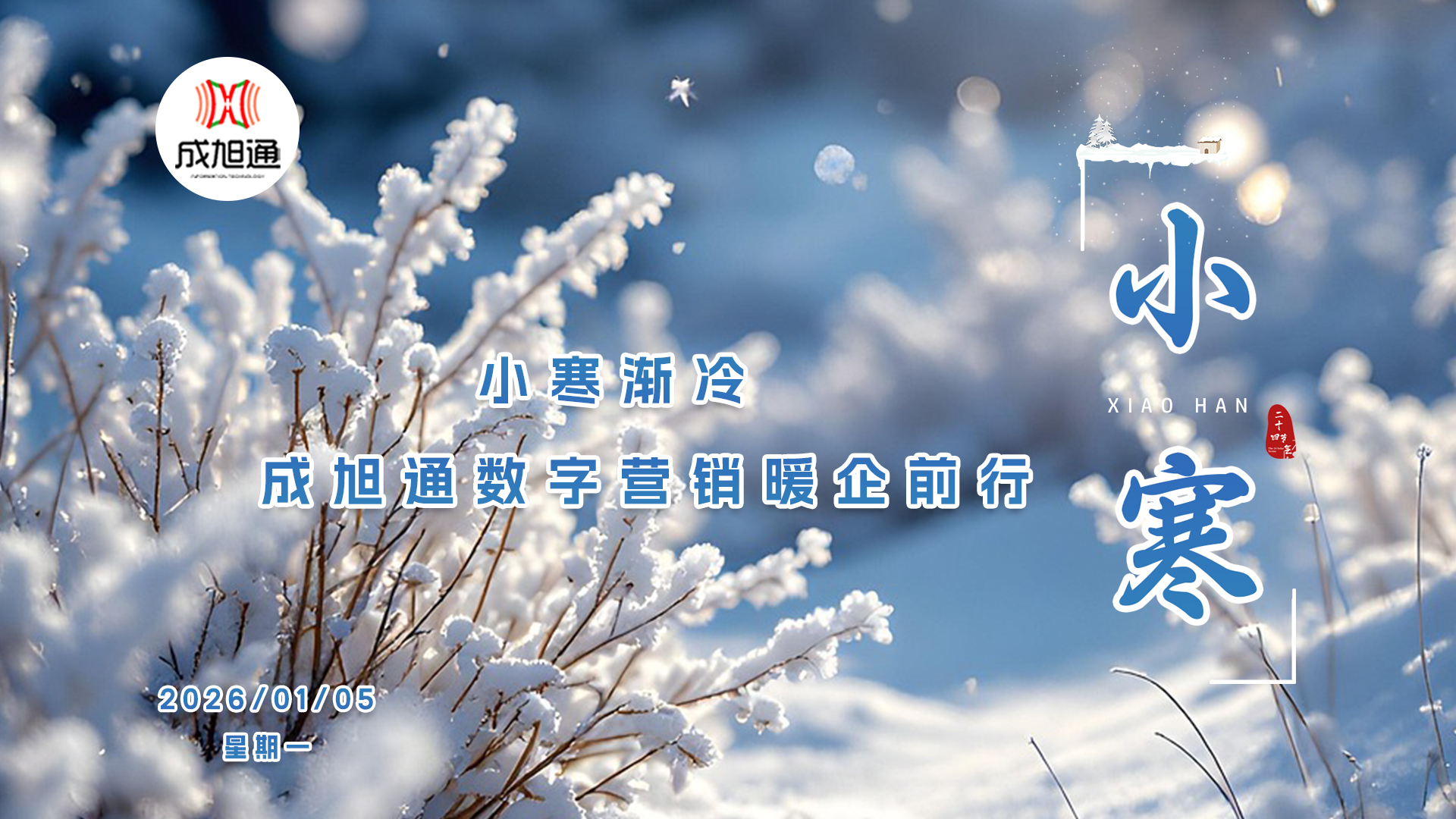 数九寒天小寒至，企业线上 “御寒” 指南